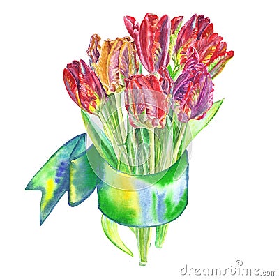 Bouquet of flowers tulips painted in watercolor bandaged with a ribbon Cartoon Illustration