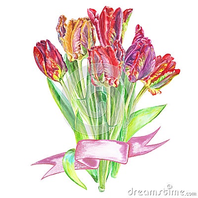Bouquet of flowers tulips painted in watercolor bandaged with a ribbon Cartoon Illustration