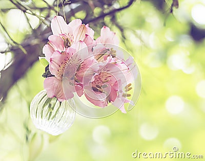 Bouquet of flowers in vase, floristic composition Stock Photo