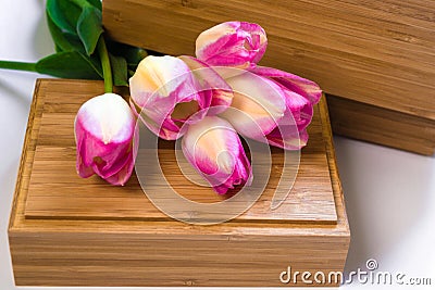 A bouquet of flowers on a white background with wooden crusts. Purple tulips on a wooden box. Place for text. Top view Stock Photo