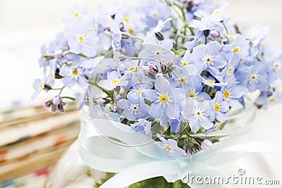 Bouquet of forget-me-not flowers Stock Photo