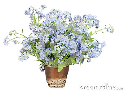 Bouquet from Forget-me-nots (Myosotis) Stock Photo