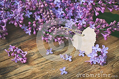 Bouquet fragrant violet lilac, paper tag Stock Photo