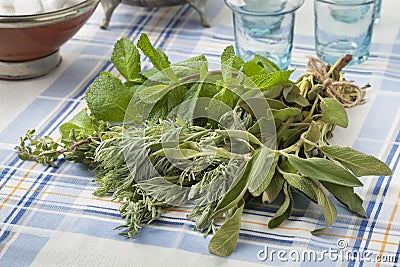 Bouquet of fresh Moroccan herbs Stock Photo