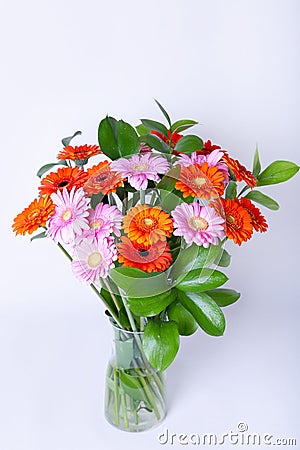 Bouquet of gerberas. Pink, Orange and Red gerbera on a white background. Stock Photo