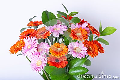 Bouquet of gerberas. Pink, Orange and Red gerbera on a white background. Stock Photo