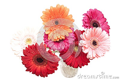 Bouquet of gerberas Stock Photo