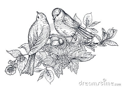 Bouquet with hand drawn blossom branches and birds. Vector Illustration