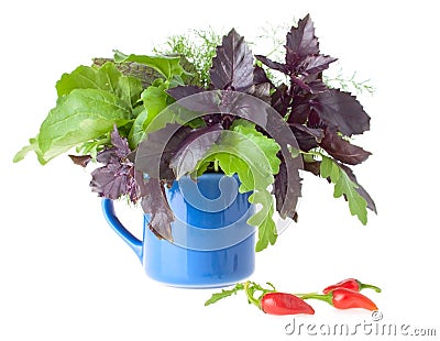 Bouquet of Healthy Greens Stock Photo