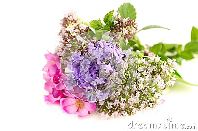 Bouquet of herbal flowers Stock Photo
