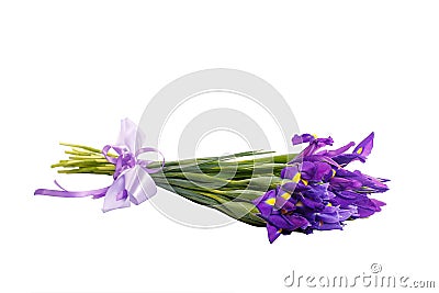 Bouquet of irises tied with lilac ribbon. Stock Photo