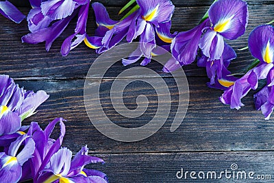 Bouquet of irises Stock Photo