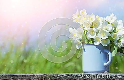 Bouquet of jasmine Stock Photo