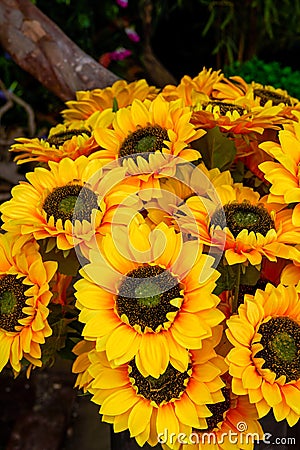 A bouquet of large blooming sunflower fake flowers Stock Photo