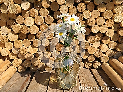 A bouquet of large chamomile flowers Stock Photo