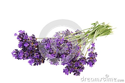 Bouquet Lavender Stock Photo