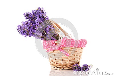 Bouquet Lavender in basket Stock Photo