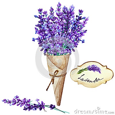 Bouquet of lavender flowers in a paper cornet and label on a white background. Hand drawn watercolor Cartoon Illustration