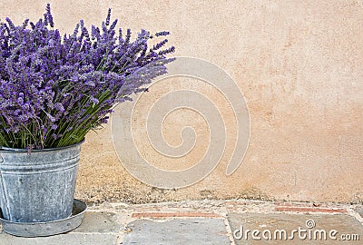Bouquet of lavender in a metal bucket Stock Photo