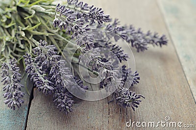 Bouquet lavender Stock Photo