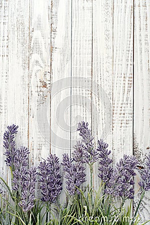 Bouquet lavender Stock Photo