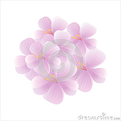 Bouquet of light Purple Violet flowers isolated on White background. Apple-tree flowers. Cherry blossom. Vector EPS 10 cmyk Vector Illustration