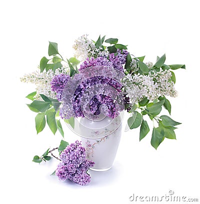 Bouquet of a lilac Stock Photo