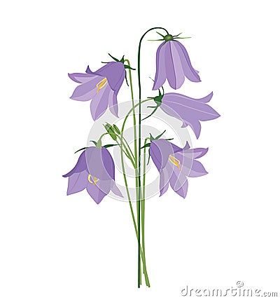 Bouquet with lilac bluebells Vector Illustration