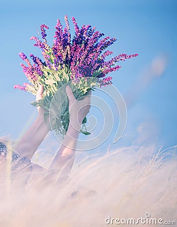 A bouquet of lilac flowers of wild sage in the hands of a girl among grass feather grass swaying in the wind. Stock Photo