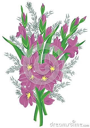Bouquet of lilac gladioluses Vector Illustration