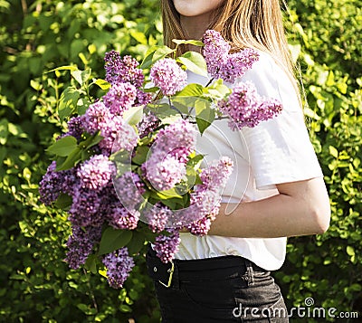 Bouquet of lilacs in woman hands Stock Photo