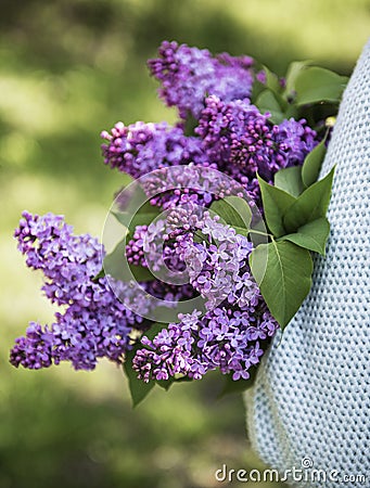 Bouquet of lilacs in woman hands Stock Photo
