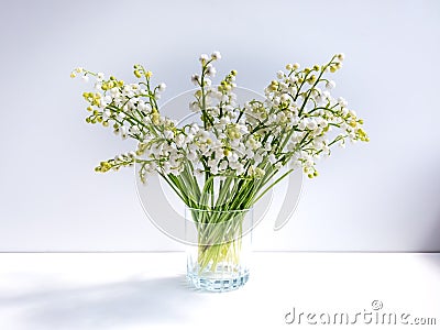 Bouquet of lily of the valley in the glass isolated on white background in bright sunlight. Delicate floral background Stock Photo