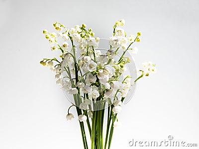 Bouquet of lily of the valley isolated on white background in bright sunlight. Delicate floral background Stock Photo