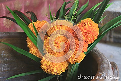 Bouquet of Marigold Flowers for Offering in Buddhist Temple in Thailand Stock Photo