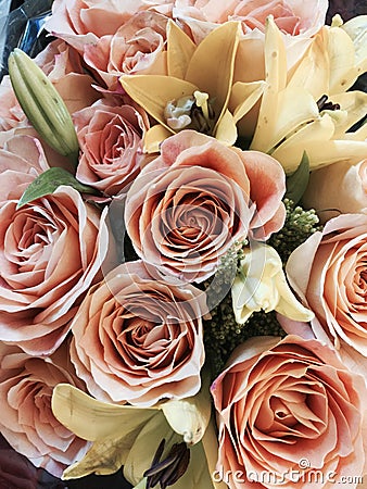 Bouquet of Mother's Day or valentine flowers in peach and cream Stock Photo