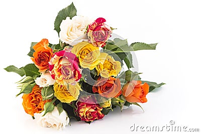 Bouquet of Multicolored Roses Isolated on White Stock Photo