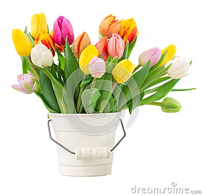 Bouquet of multicolored tulip flowers in white Stock Photo