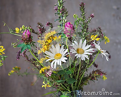 Bouquet of multicolored wildflowers, chamomile, clover and other wild flowers close up Stock Photo