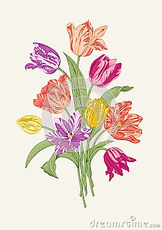 Bouquet of nine colorful tulips Vector Illustration