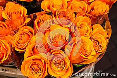 Bouquet of orange roses, Amsterdam, Netherlands. Stock Photo