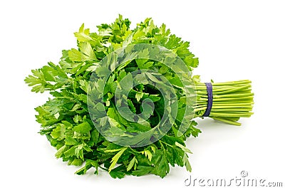 Bouquet of parsley on a white background Stock Photo