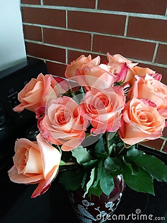 Bouquet of peach roses Stock Photo