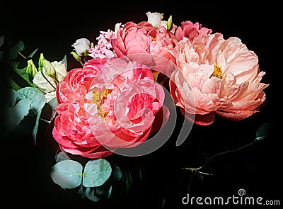 Bouquet with peonies, Paeonia suffruticosa, against dark background Stock Photo