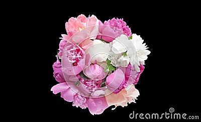 Bouquet peony flowers pink and red isolated on black background. Stock Photo