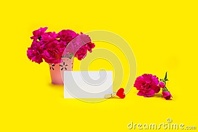 Bouquet Pink carnation flowers with card on yellow backgraund. Stock Photo