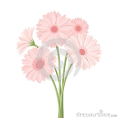 Bouquet of pink gerbera flowers. Vector illustration. Vector Illustration