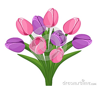 Bouquet of pink and purple tulips. Vector Illustration