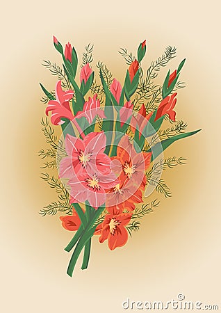 Bouquet of pink and red gladioluses Vector Illustration