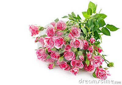 Bouquet pink rose with green leaf Stock Photo